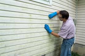 Best Siding Painting and Refinishing  in Deerwood, TX